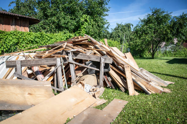 Best Shed Removal  in USA